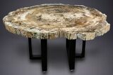 Polished Triassic Petrified Wood Table - Madagascar #303667-3